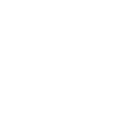 Detection icon in white